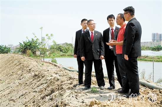 執(zhí)行法官在田間地頭向當(dāng)事人了解案情。
