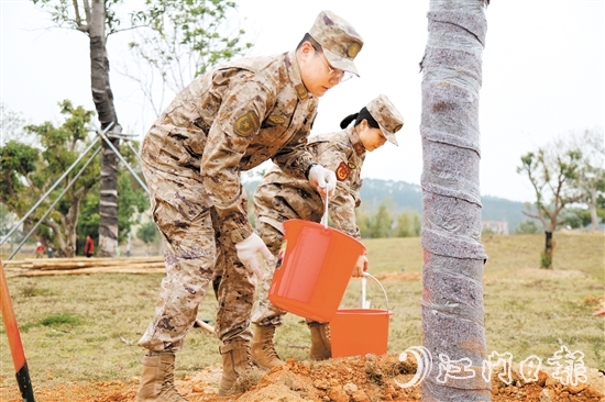 江門(mén)軍分區(qū)官兵、民兵參加義務(wù)植樹(shù)活動(dòng)。