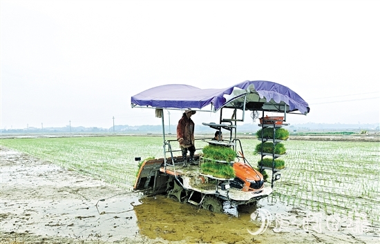 沖蔞鎮(zhèn)推進(jìn)農(nóng)業(yè)機(jī)械化，為春耕生產(chǎn)提供有力保障。