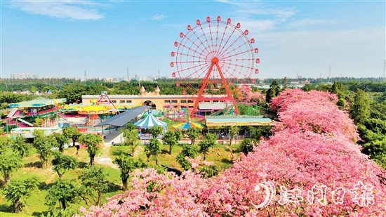 依托禮樂街道獨特旅游資源，長廊生態(tài)園開發(fā)研學旅游項目，賦能“江門三點三精彩之旅”品牌建設。