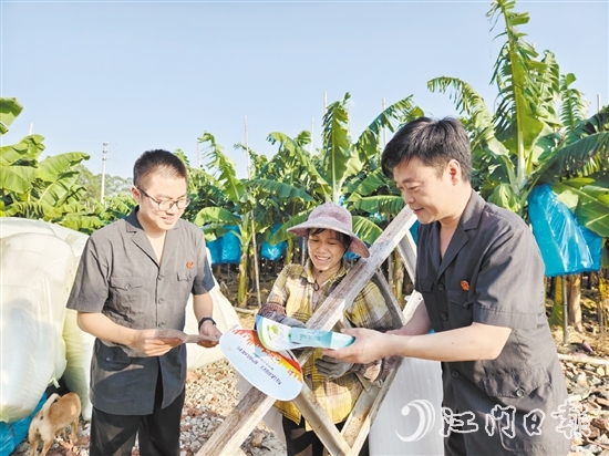 恩平法院干警深入田間地頭開展基層普法。