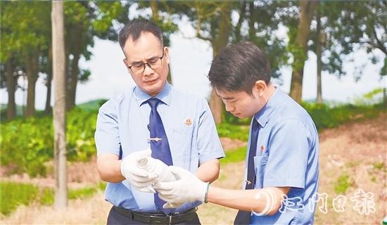 恩平市檢察院以公益訴訟為切入口，構建農(nóng)資安全全流程監(jiān)管體系。