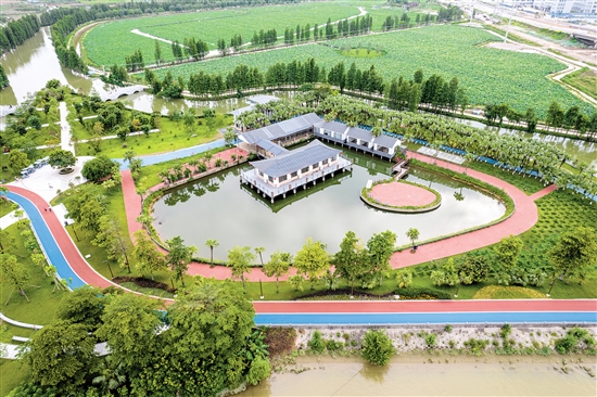 江海區(qū)禮樂河水利風(fēng)景區(qū)。