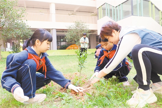 江門一中附屬小學(xué)師生攜手添綠。