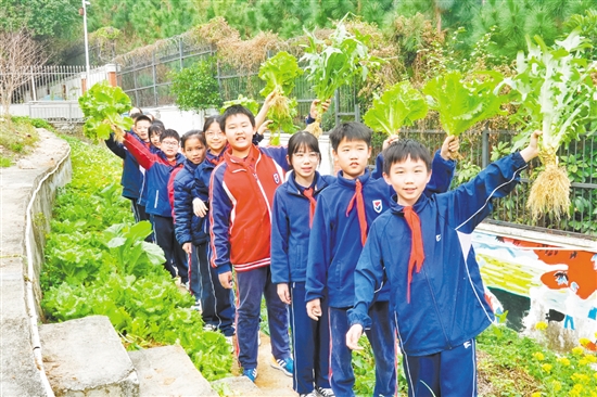 在鶴山市碧桂園學校“桃李園”勞動實踐基地，學生們采摘自己種下的勞動成果，感受勞動的樂趣與收獲的喜悅。