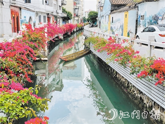 外海街道直沖村一河兩岸花團(tuán)錦簇，美景如畫(huà)。