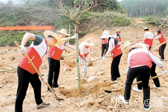 在植樹活動中，大家揮鍬培土，干勁十足，為恩平增添綠意，為全運會舉辦貢獻自己的力量。