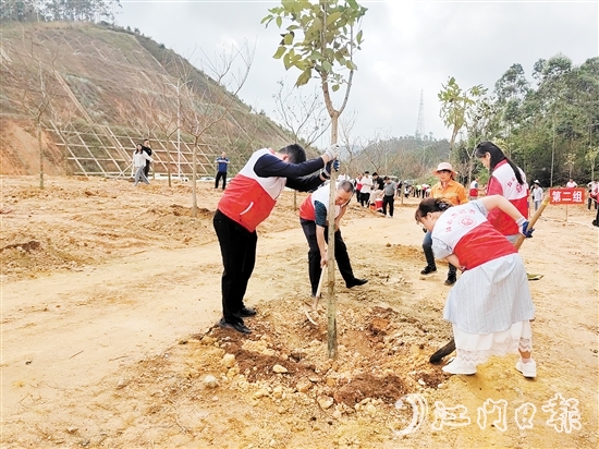 黨員干部積極參與植樹活動。