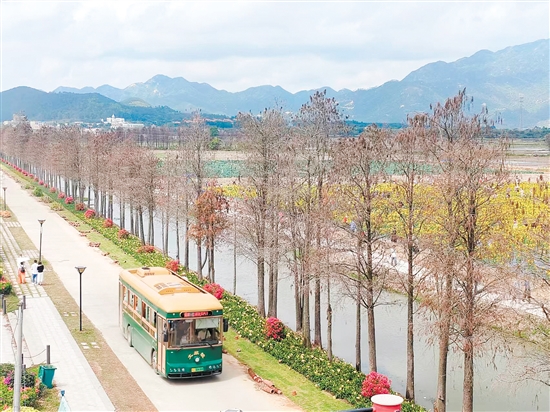 游客坐上“鐺鐺車”，欣賞沿途的美景。
