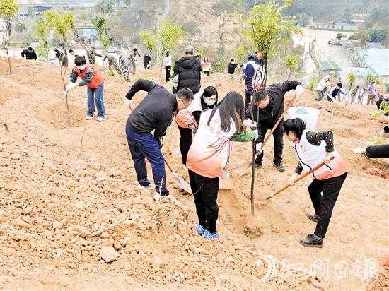 2025年蓬江區(qū)鄉(xiāng)村綠化主題植樹活動(dòng)在五洞村舉行，黨員群眾攜手種下一棵棵樹苗。