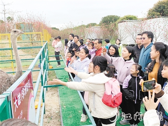 孩子們近距離觀察各類鳥禽。