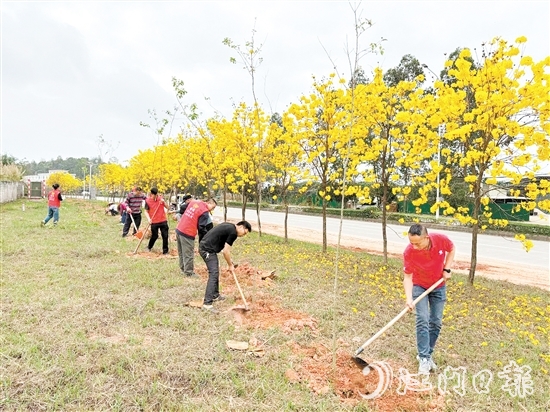 宅梧鎮(zhèn)組織開展植樹活動(dòng)。