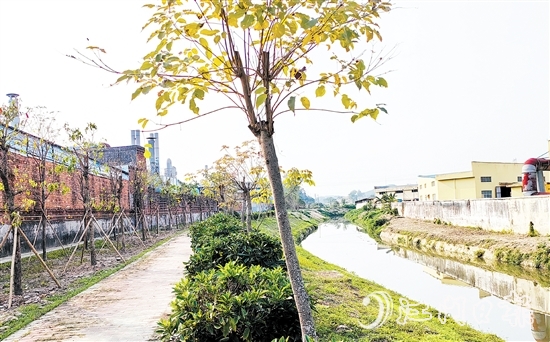 新橋水流域經(jīng)過治理后，環(huán)境大大改善。