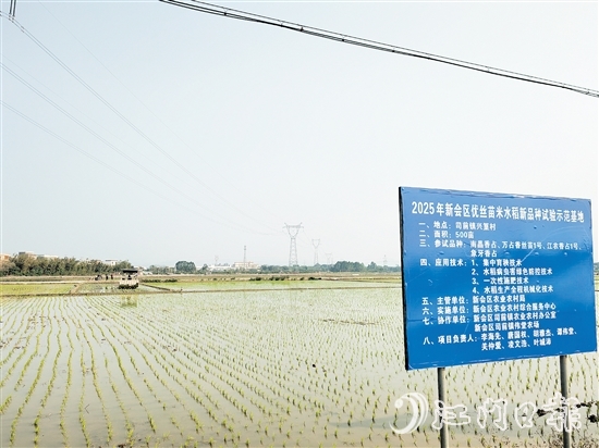 興篁村建成標(biāo)準(zhǔn)農(nóng)田，為糧食高產(chǎn)、穩(wěn)產(chǎn)、均衡增產(chǎn)奠定基礎(chǔ)。