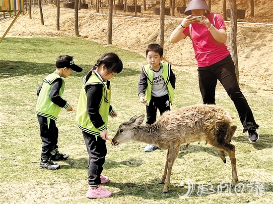 在江門市七顆星農(nóng)業(yè)生態(tài)園，小朋友們與動物互動。