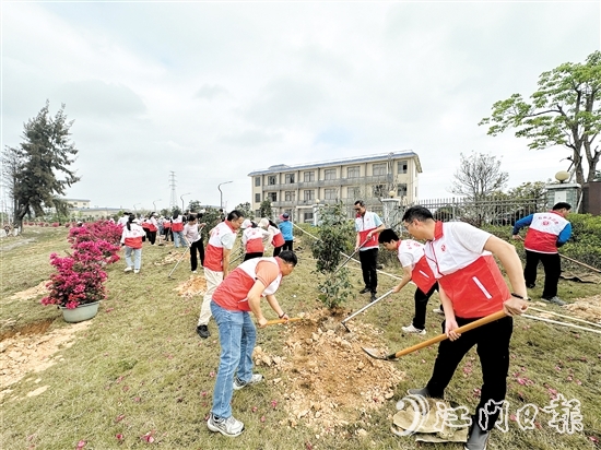 今年春天，水步鎮(zhèn)已先后開展30余場植樹活動(dòng)，累計(jì)超1300名黨員干部群眾參與。