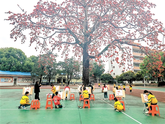 古井小學(xué)國畫社團(tuán)組織學(xué)生在校園木棉樹下畫木棉花。