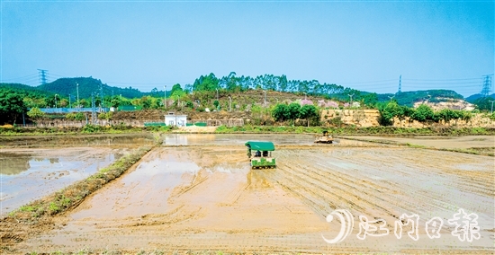 松土機(jī)、插秧機(jī)在集中連片的水田里來回穿梭。