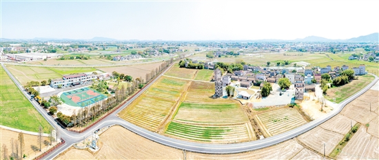 鷹村田園綜合體項目建設(shè)順利推進(jìn)。