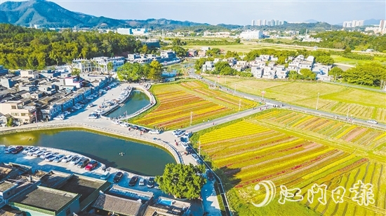 春賞格桑花、夏觀荷塘月、秋品稻花香、冬聞桂花釀的“全季旅游”模式，讓桂水村的知名度不斷攀升。