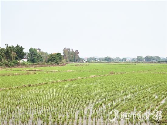 2024年，塘口新增耕地超49公頃，為鄉(xiāng)村振興注入了新動能。