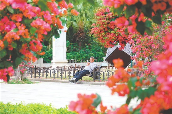 影視劇《棋士》曾在東湖公園取景。
