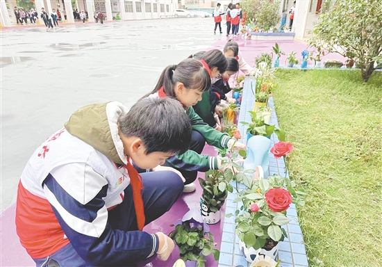 學(xué)生們親手培植的綠植生機(jī)盎然。