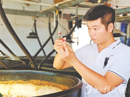 馮雄偉仔細(xì)觀察對蝦種苗。