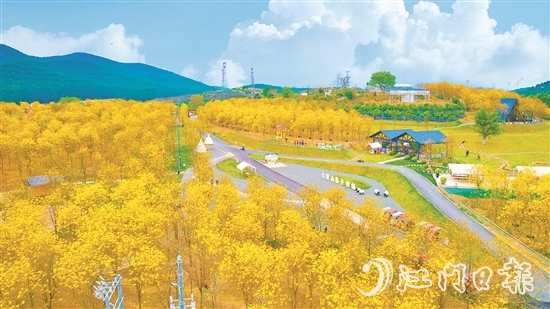 江門市七顆星農(nóng)業(yè)生態(tài)園于今年1月正式對外營業(yè)，吸引了不少市民游客前來游玩。