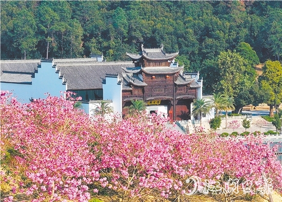 共和鎮(zhèn)來蘇村利用去年擂臺(tái)比武獲得的獎(jiǎng)勵(lì)資金進(jìn)行一系列鄉(xiāng)村建設(shè)。圖為來蘇山水人家文旅項(xiàng)目。