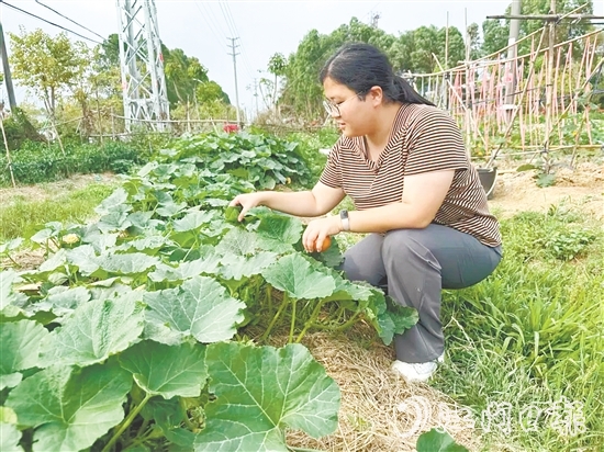 錢崗村村干部管好“黨群同心園”。