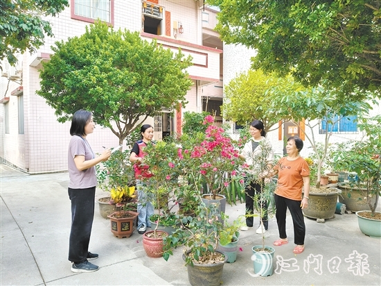 江海區(qū)鄉(xiāng)村綠化工作深入人心。圖為禮樂街道駐新華村干部、村“兩委”干部入戶開展鄉(xiāng)村綠化評分。