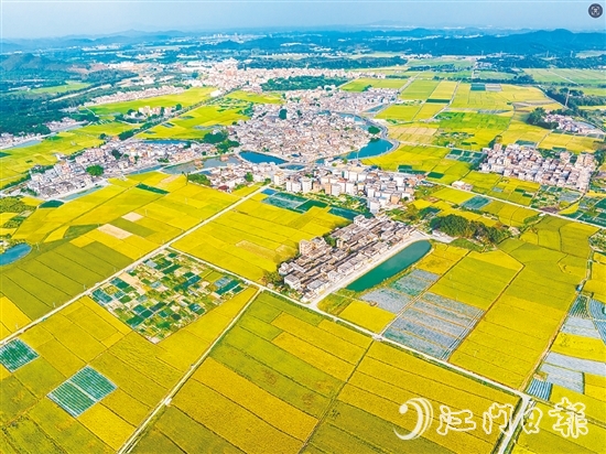 恩平土壤肥沃，富含“硒”元素，該市正努力推動讓“硒”資源轉(zhuǎn)化為富民強(qiáng)市的“硒”經(jīng)濟(jì)。圖為恩平市牛江鎮(zhèn)。