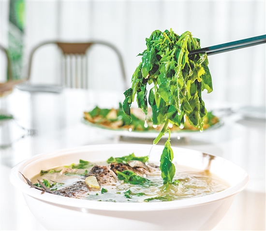 簕菜鯽魚湯鮮甜美味。
