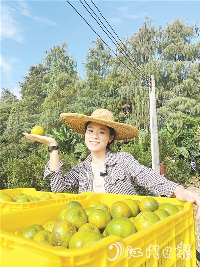 劉雪菲不斷探索新會(huì)柑種植、新會(huì)陳皮陳化倉(cāng)儲(chǔ)的更多可能。