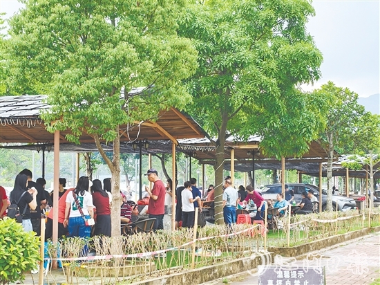 今年“五一”假期，恩平市簕菜文化創(chuàng)意園內(nèi)游人如織。
