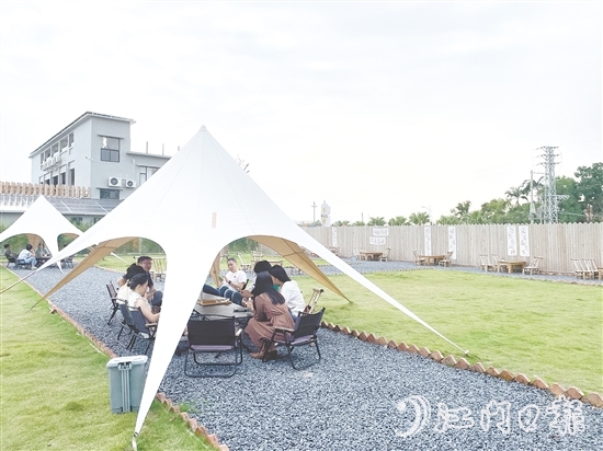 聞著稻香喝咖啡、住民宿，成為不少城市人放松身心的選擇。
