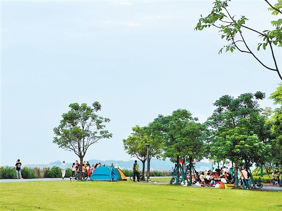 每到周末及節(jié)假日，江門各大公園及露營地成為親子野餐露營的首選之地。