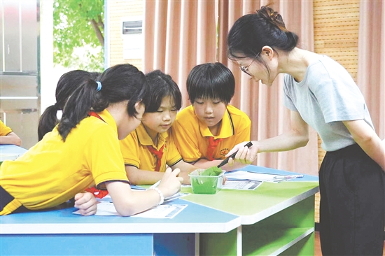 在古勞鎮(zhèn)連南小學的科學課上，學生們化身為“小小科學家”，認真觀察并仔細記錄蠶的生長變化。