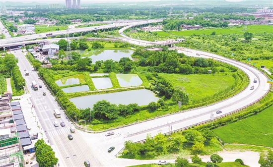 近年來，水步鎮(zhèn)先后投入約500萬元用于周邊廊道建設。