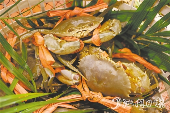 崖門水蟹肉少水多，最適合原只清蒸后用吸管“啜”著吃。