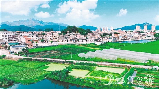 汶村鎮(zhèn)沙奇村通過深耕特色農(nóng)業(yè)、強化黨建引領(lǐng)、創(chuàng)新基層治理，實現(xiàn)從“臟亂差”到“綠富美”的華麗蝶變。