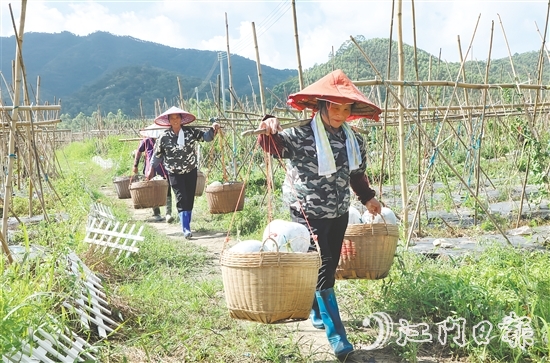 “潭碧冬瓜”地理標(biāo)志專用標(biāo)志的核準(zhǔn)使用既是對潭碧冬瓜產(chǎn)品質(zhì)量的高度認(rèn)可，又有助于保護(hù)和傳承地方特色產(chǎn)品。