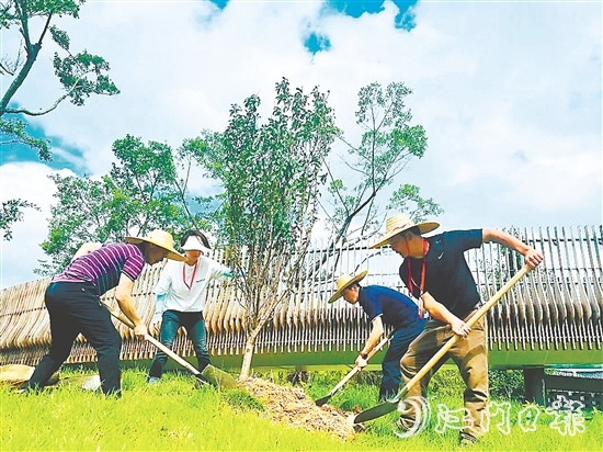 會城街道人大代表在小鳥天堂國家濕地公園種下40多株桃花樹苗。