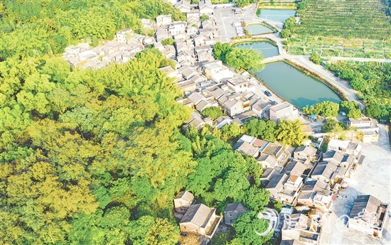大江鎮(zhèn)石橋村華僑資源豐富，村內(nèi)有成片僑房形成的僑韻景觀。