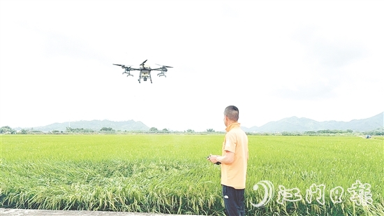 農(nóng)業(yè)技術(shù)人員利用大型植保無(wú)人機(jī)對(duì)農(nóng)田進(jìn)行補(bǔ)肥殺蟲。