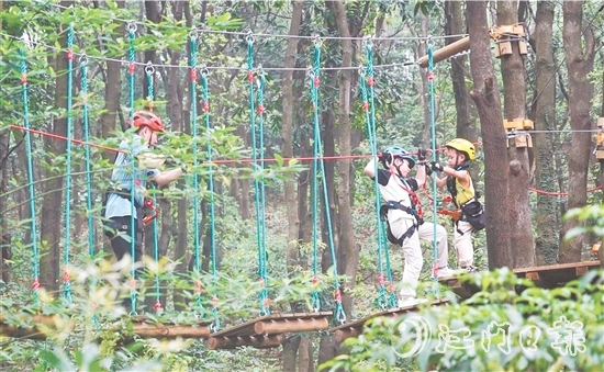 鶴山大雁山飛越叢林樂園十分火熱，吸引各地游客進(jìn)山探秘原始叢林，體驗戶外運動帶來的無限樂趣。