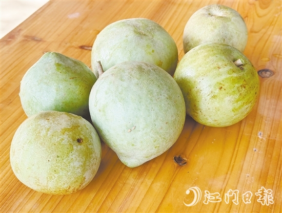 冰淇淋果果實(shí)成熟時可呈黃色或綠色，果肉為乳白色或米黃色，質(zhì)地綿軟順滑，果香濃郁。