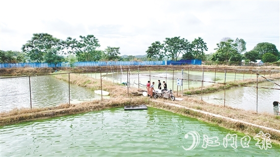 養(yǎng)殖基地毗鄰鶴城鎮(zhèn)三堡河，水源充沛，水質(zhì)優(yōu)良。