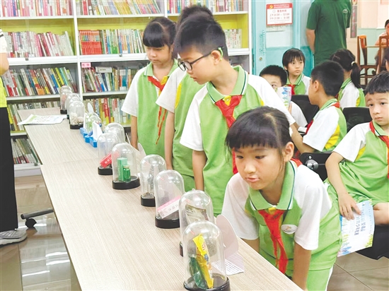 學(xué)生們有序參觀毒品仿真模型。